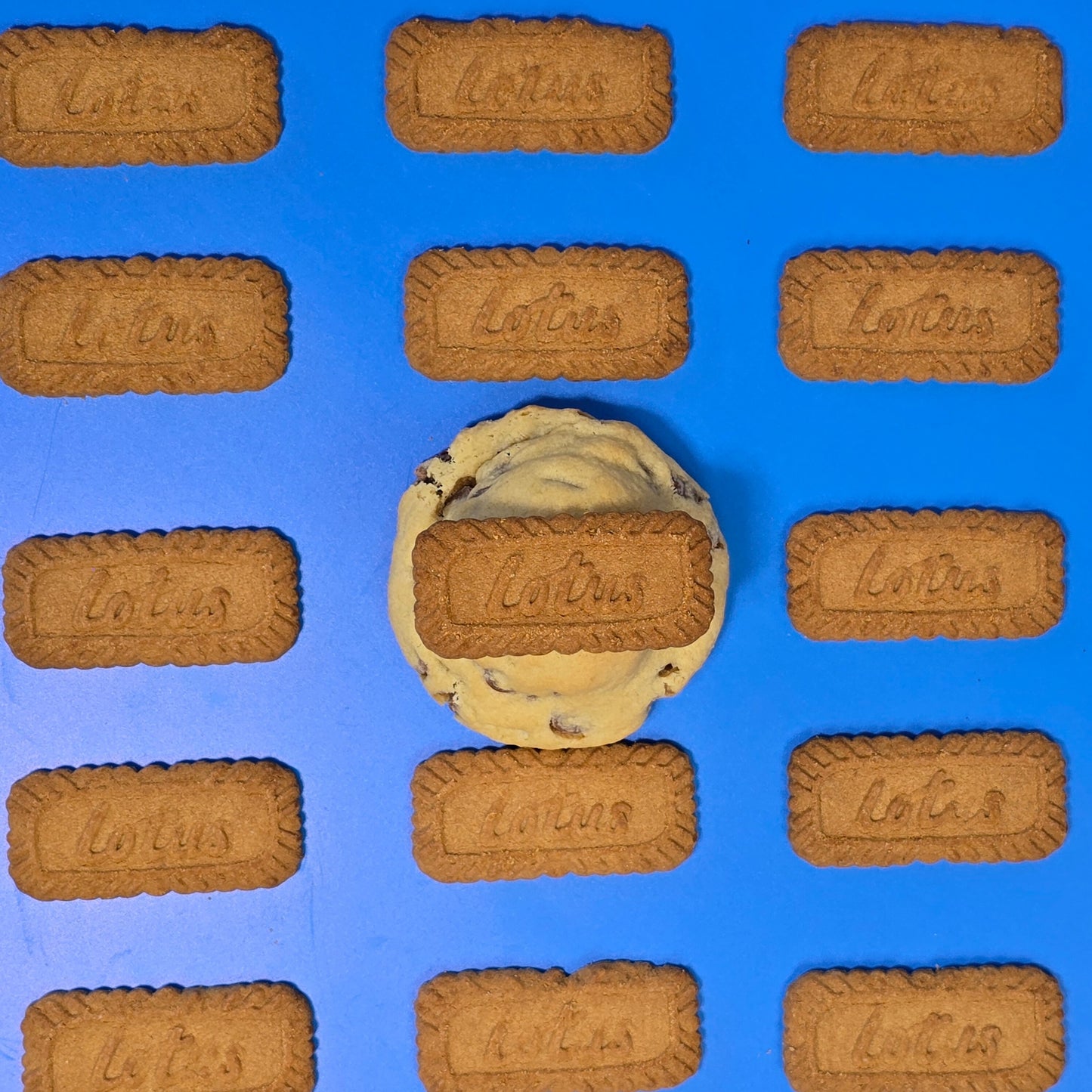 Biscoff Loaded Cookies